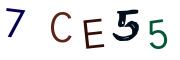 Vaizdinė CAPTCHA užduotis