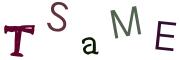 Vaizdinė CAPTCHA užduotis