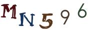 Vaizdinė CAPTCHA užduotis