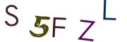 Vaizdinė CAPTCHA užduotis