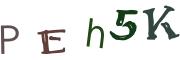 Vaizdinė CAPTCHA užduotis