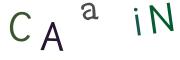 Vaizdinė CAPTCHA užduotis